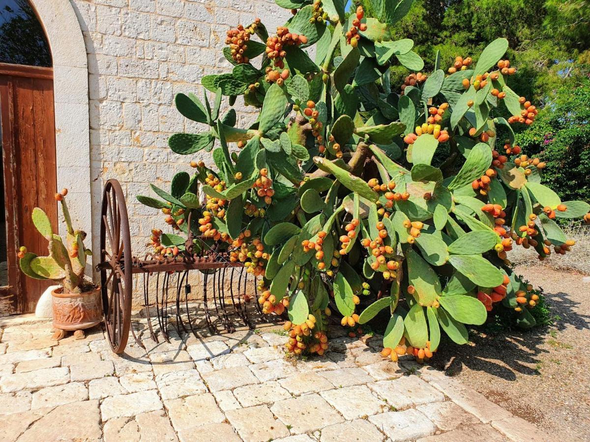 Masseria Agrituristica Lama San Giorgio รูติเญียโน ภายนอก รูปภาพ