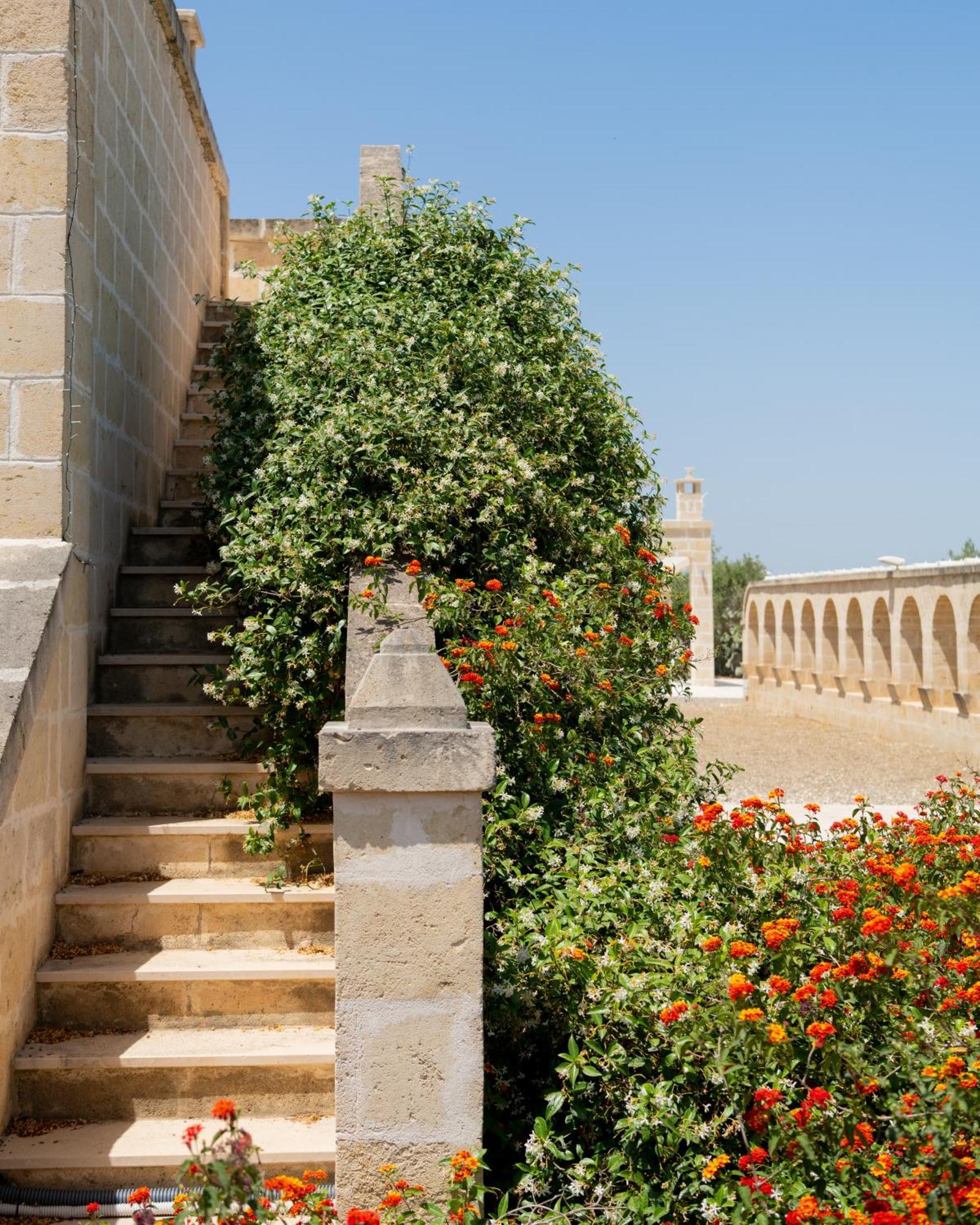 Masseria Agrituristica Lama San Giorgio รูติเญียโน ภายนอก รูปภาพ